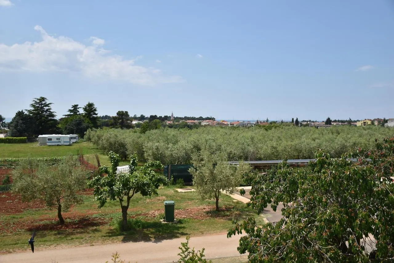 Apartment Apartmani Diana Novigrad